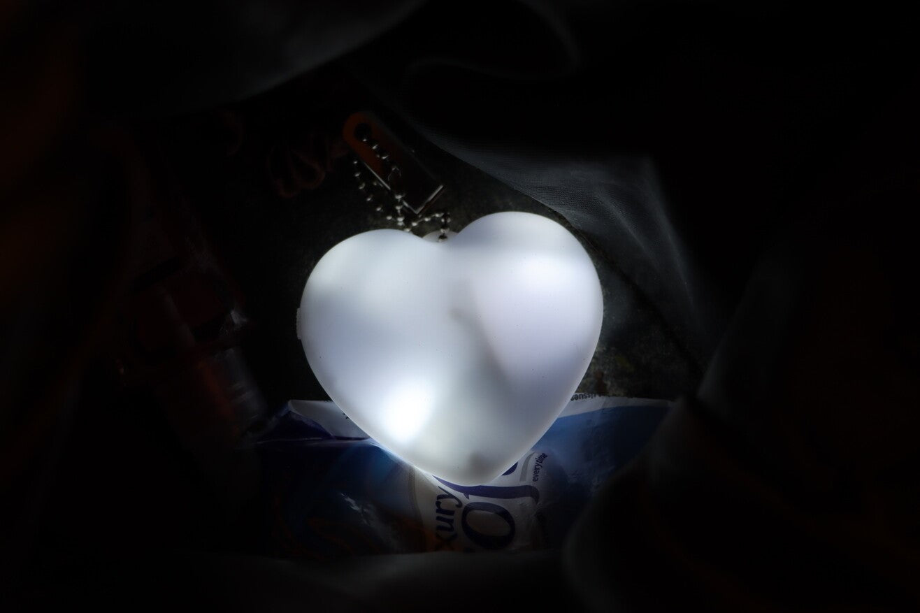 Purse light 2