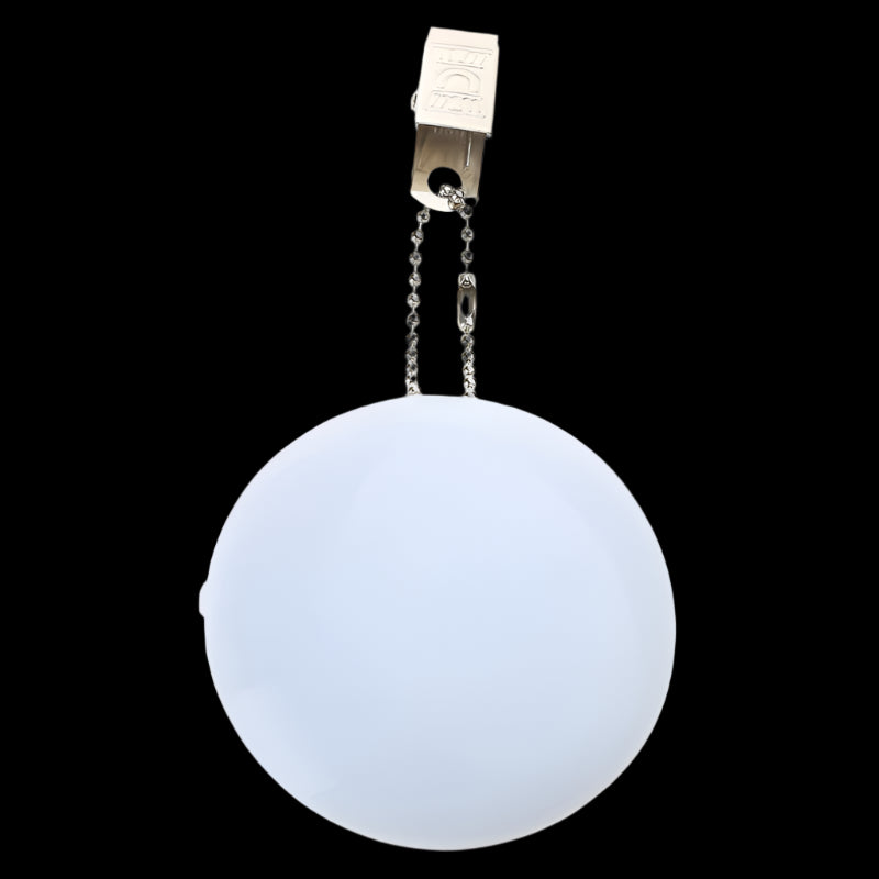 Purse light 4